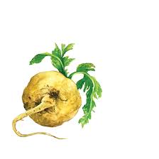 Haematococcus Ingredient